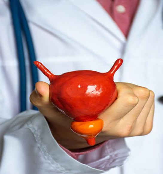 Disfunción Eréctil